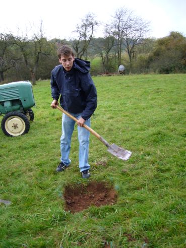Baumpflanzaktion am 28.10.2006 - bild06, 369x492, 43 Kb