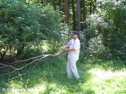 Renovierung Grillh&uuml;tte am 18.06.2005 - bild06, 496x372, 63 Kb